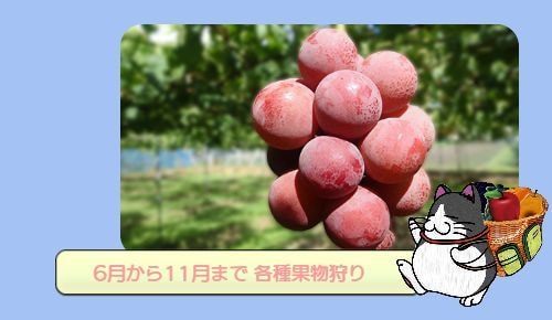 くだものカレンダー