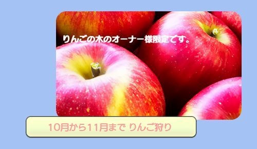 りんご狩り