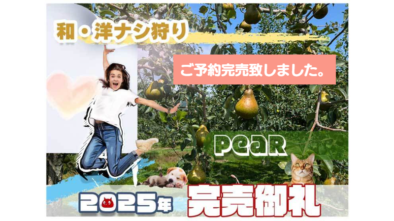 和洋ナシ狩り
