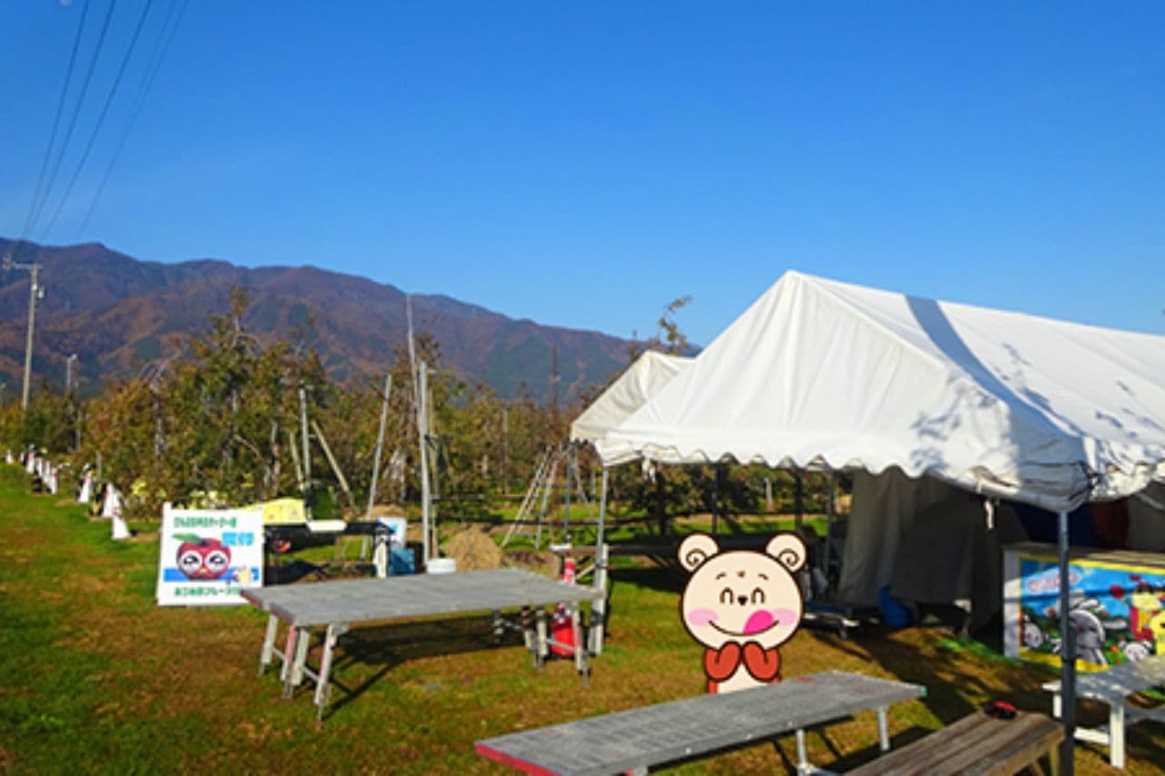 りんごの木のオーナー収穫
