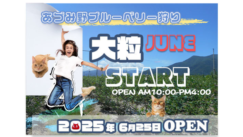 ブルーベリー狩り　あづみ野