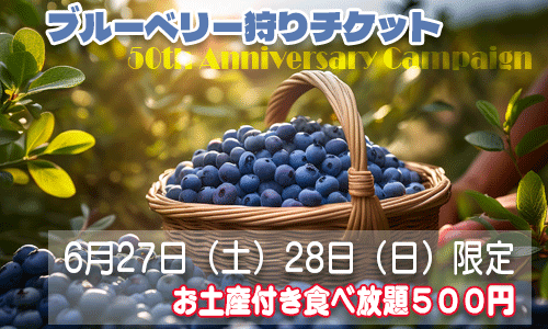 ブルーベリー狩りチケット