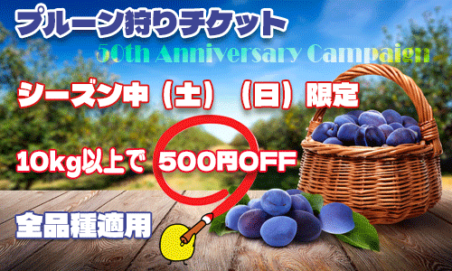 プルーン狩りチケット