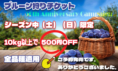 プルーン狩りチケット