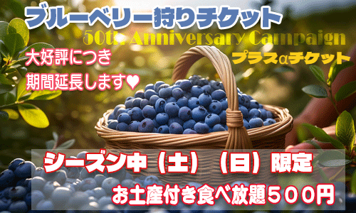 ブルーベリー狩りチケット