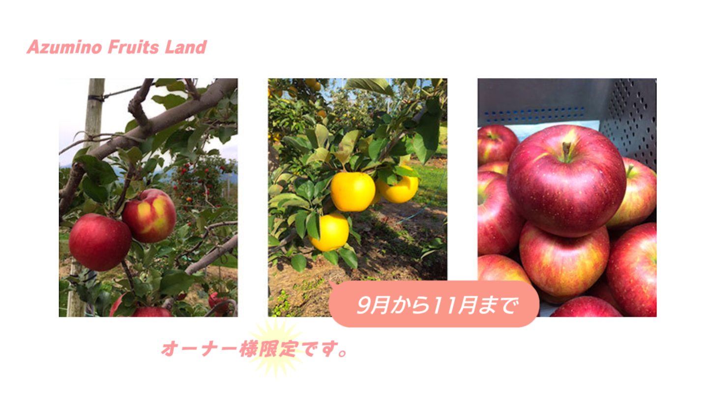 あづみ野フルーツらんど りんご狩り あづみ野フルーツらんど りんご狩り